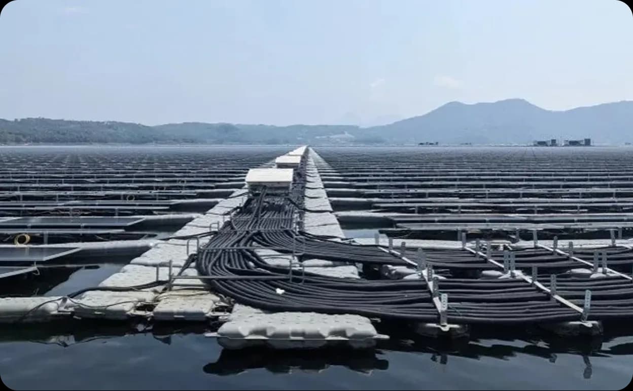 renewable energy solar floating