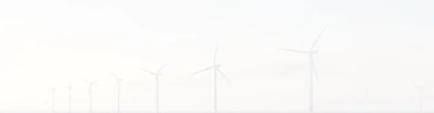 section background
